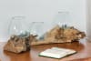 Triple Glass Bowl On Wood in Natural Driftwood by AFD Home - AFD-12023275 - Image 2 of 0
