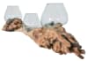 Triple Glass Bowl On Wood in Natural Driftwood by AFD Home - AFD-12023275 - Image 4 of 0