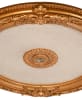 Round Ceiling Medallion in Beige and Golden Finish by AFD Home - AFD-12023903 - Image 4 of 0