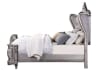 Ausonia Bed in Velvet & Antique Platinum Finish by Acme - 00603Q - Image 3 of 0
