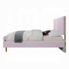 Gaines Contemporary Full Bed in Pink High Gloss Finish by Acme - BD02660F - Image 3 of 0