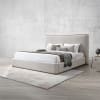 Orane Contemporary Queen Bed in Gray Finish by Acme - BD04582Q - Image 1 of 0