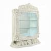 Adara Display Curio Cabinet in Antique White Finish by Acme - DN01232 - Image 1 of 0