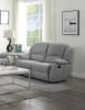 Zorina Motion Loveseat in Gray Fabric Finish by Acme - LV01285 - Image 1 of 0