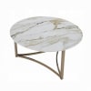 Aziz 3 Piece Coffee Table Set in Sintered Stone and Champagne Finish by Acme - LV02825-S - Image 4 of 0