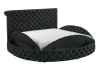 Brigitte Storage Queen Bed in Black Finish by Crown Mark - CM-5202BK-Q - Image 3 of 0