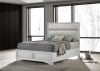 Miranda Upholstered Queen Panel Bed in White Finish by Coaster - COA-205110Q - Image 1 of 0