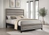 Valen Queen Panel Bed in Light Taupe Finish by Coaster - 215911Q - Image 1 of 0
