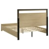 Hendricks Queen Panel Bed in Light Oak Finish by Coaster - 222651Q - Image 5 of 0