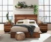 Winslow Platform Bed in Smokey Walnut and Coffee Bean Finish by Coaster - 223250Q - Image 1 of 0