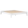 Hounslow Queen Universal Platform Bed in White Finish by Coaster - COA-306128Q - Image 3 of 0