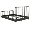 Rocco Open Frame Queen Bed in Dark Bronze Finish by Coaster - 310035Q - Image 5 of 0