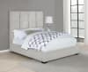 Panes Beige Velvet Upholstered Bed by Coaster - 315850Q - Image 1 of 0