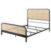 Lanewood Open Cane Webbing Metal Queen Bed in Black Finish by Coaster - COA-360250Q - Image 4 of 0