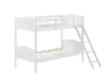 Littleton Twin Twin Bunk Bed in White Finish by Coaster - 405053WHT - Image 3 of 0