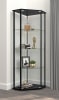 Zenobia 4-Shelf Curio Cabinet Display Case in Black Finish by Coaster - COA-953234 - Image 2 of 0