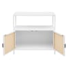 Amherst 2-Door Radio Weave Cane Metal Accent Cabinet in White and Natural Finish by Coaster - COA-961642 - Image 4 of 0