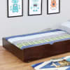 Cameron Full/Full Bunk Bed in Dark Walnut Finish by Furniture of America - FOA-CM-BK929F-EX - Image 5 of 0