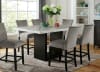 Kian 7 Piece Counter Height Dining Set in White/Black Finish by Furniture of America - FOA-CM3744PT - Image 2 of 0