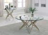 Alvise 2 Piece Occasional Table Set in Champagne by Furniture of America - FOA-CM4377-2PK - Image 1 of 0