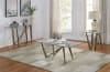 Wohlen 2 Piece Occasional Table Set in Champagne by Furniture of America - FOA-CM4510-2PK - Image 1 of 0