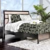 Berenice Bed by Furniture of America - FOA-CM7580EX-B - Image 1 of 0