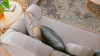 2 Piece Living Room Set in Gray Velvet with Gold Accent Finish by Homey Design - HD-9041 - Image 5 of 0