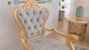 Accent Armchair in Gray Velvet with Gold Accent Finish by Homey Design - HD-9041-C - Image 1 of 0