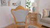 Accent Armchair in Gray Velvet with Gold Accent Finish by Homey Design - HD-9041-C - Image 3 of 0