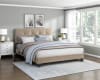 Newberry Queen Platform Bed in Light Brown Velvet Fabric by Home Elegance - HEL-1350BR-1 - Image 1 of 0