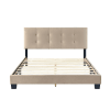 Newberry Queen Platform Bed in Light Brown Velvet Fabric by Home Elegance - HEL-1350BR-1 - Image 5 of 0