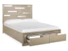 Chantelle Panel Storage Bed in Champagne Finish by Magnussen - MAG-B5313-54A - Image 4 of 0
