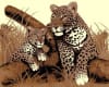 Leopard Diva Shoe Chair by Piedmont - PDM-LRSCLeopard - Image 4 of 0