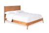 American Modern Bed in Cinnamon Finish by Sunny Designs - SD-2336CN-Q - Image 1 of 0