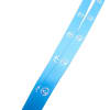 Lanyard w/ Retractor (CISA) - Image 3 of 0