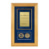 Recognition Shadow Box (Gold) w/ Coins (DHS) - Image 1 of 0