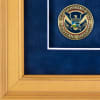 Recognition Shadow Box (Gold) w/ Coins (DHS) - Image 2 of 0
