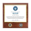 Certificate Plaque w/ 2 Coins (TSA) - Image 1 of 0