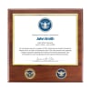 Certificate Plaque w/ 2 Coins (TSA) - Image 3 of 0