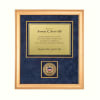 Recognition Shadow Box w/ Medallion (USCIS) - Image 2 of 0