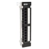 Tripp Lite N250-012 12-Port CAT6/CAT5 Wall-Mount Vertical 110 Patch Panel - Image 1 of 0