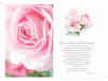 Cherished rose register book used in funeral service operations, from lynch supply  - Image 3 of 0