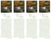 Autumn stream bookmarks used in funeral service operations, from lynch supply  - Image 2 of 0