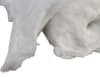 Premium nonsterile cotton-1 lb absorbent roll used in funeral service operations, from lynch supply  - Image 3 of 0