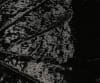 Duodrape replacement drape only-single sided used in funeral service operations, from lynch supply  - Image 2 of 0