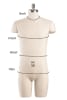 Half Scale Professional male full body dress form on adjustable stand - The Signature Collection by Mannequins Express - Image 7 of 0