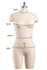 Professional female 3/4 body dress form on adjustable stand - The Signature Collection by Mannequins Express - Image 5 of 0