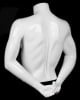 glossy white male torso mannequin freestanding tabletop mannequins express - Image 3 of 0