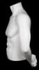 matte white male torso mannequin freestanding tabletop mannequins express - Image 2 of 0