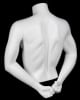 matte white male torso mannequin freestanding tabletop mannequins express - Image 3 of 0